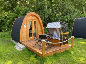 39 Mini Pod 